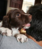 Keith's Blog